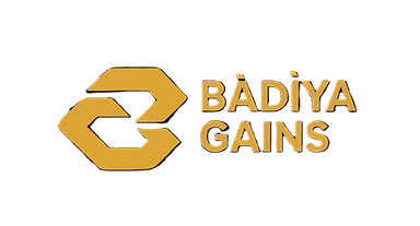 Website Logo Badyia Gains